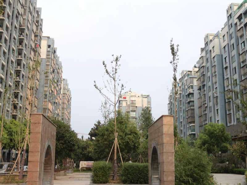 迎春南苑18065077周边环境图9