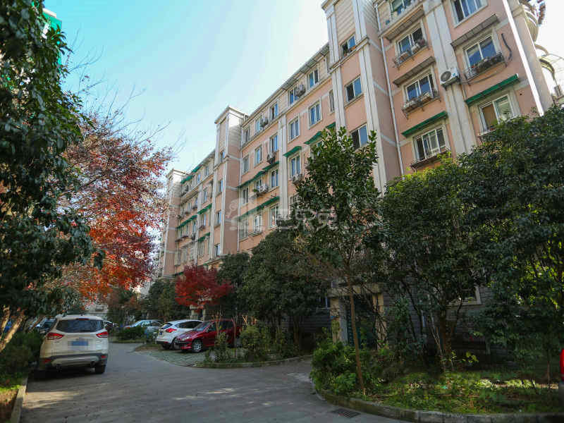 文三新村15138594周边环境图31