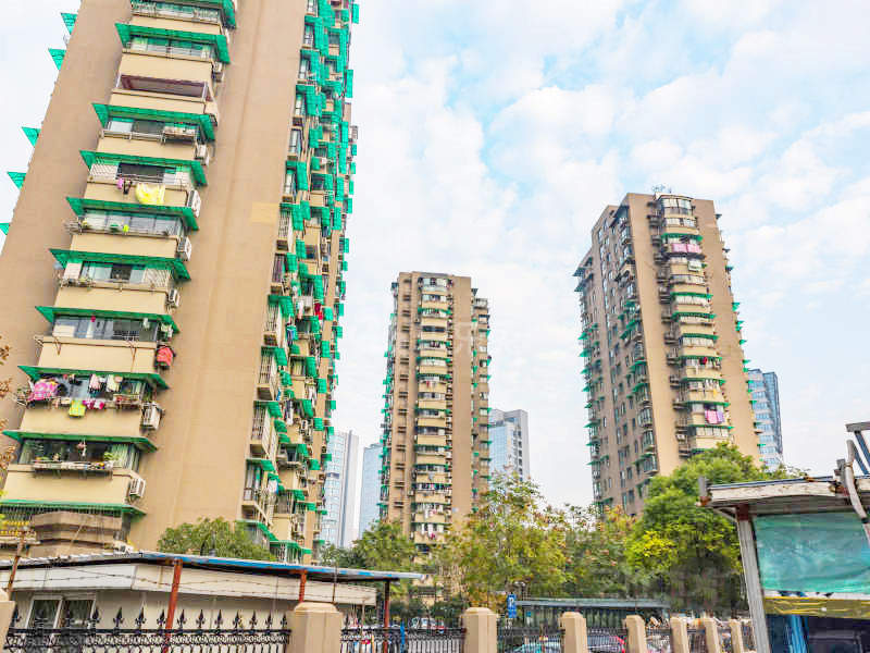 望江新园一园17128531周边环境图5