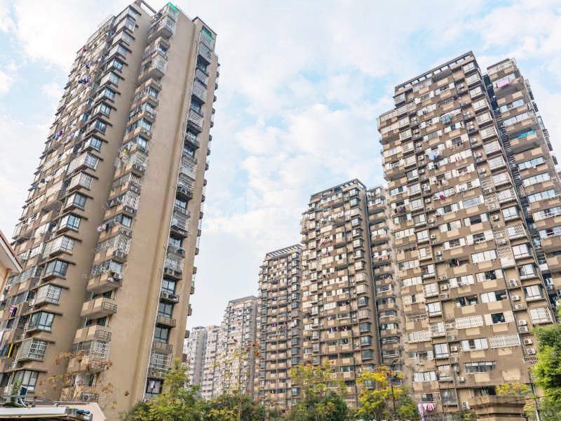 望江新园一园17128531周边环境图6