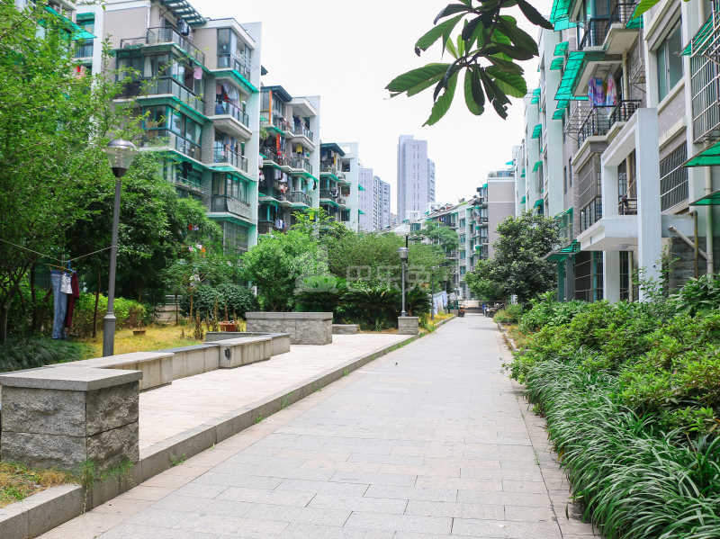 钱江三苑9797866周边环境图9