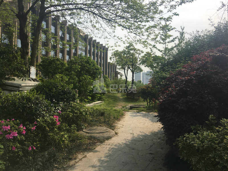 中企御品湾东区（中企艮山府东区）15588728周边环境图8