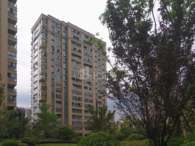 钱塘玫瑰湾18468038周边环境图5