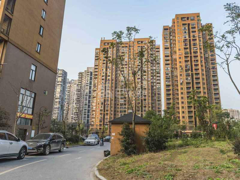 婺江家园一园18442425周边环境图8