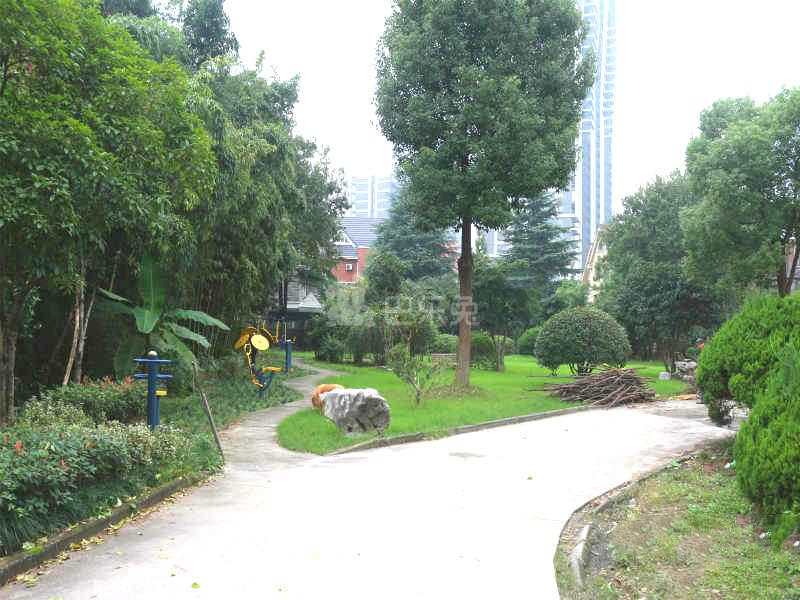之江花园13799493周边环境图12