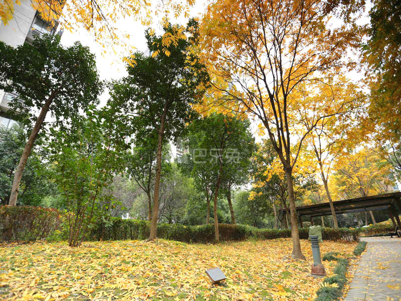 亲亲家园幸福里18275379周边环境图4