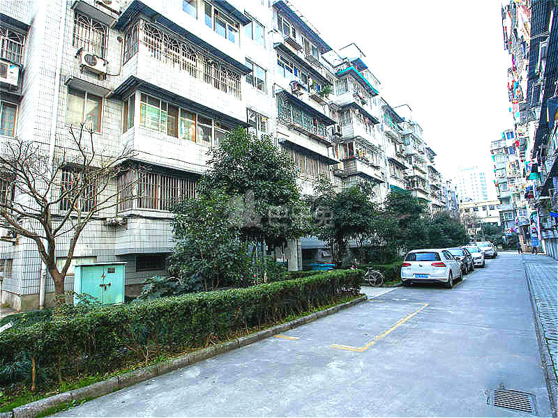 青春坊小区18412770周边环境图7