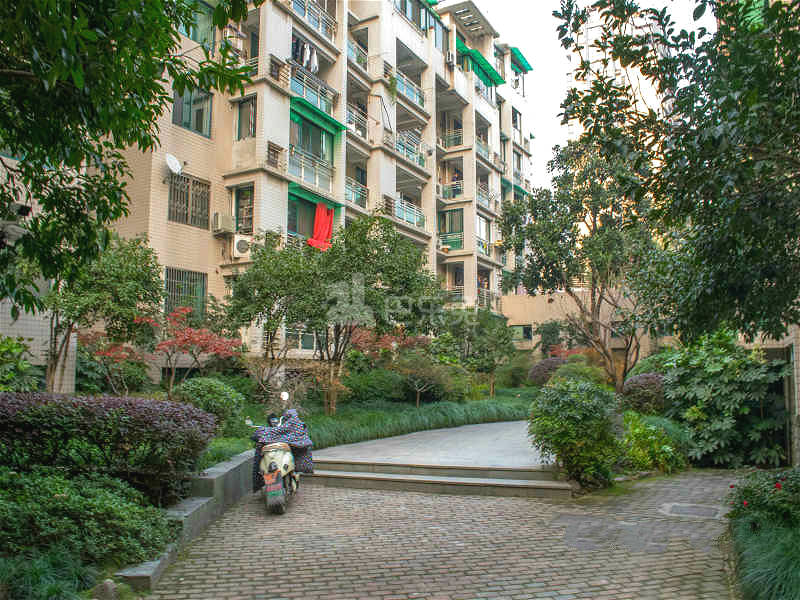 清水公寓18241253周边环境图2