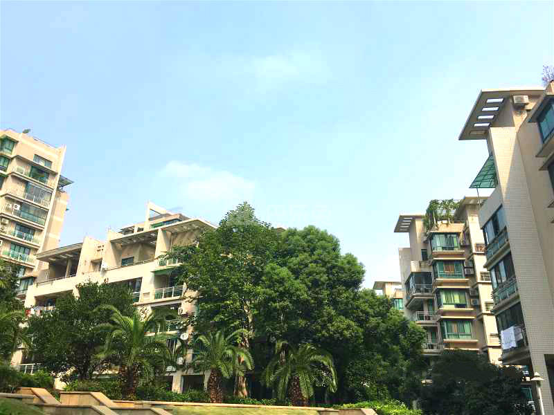 清水公寓18241253周边环境图4