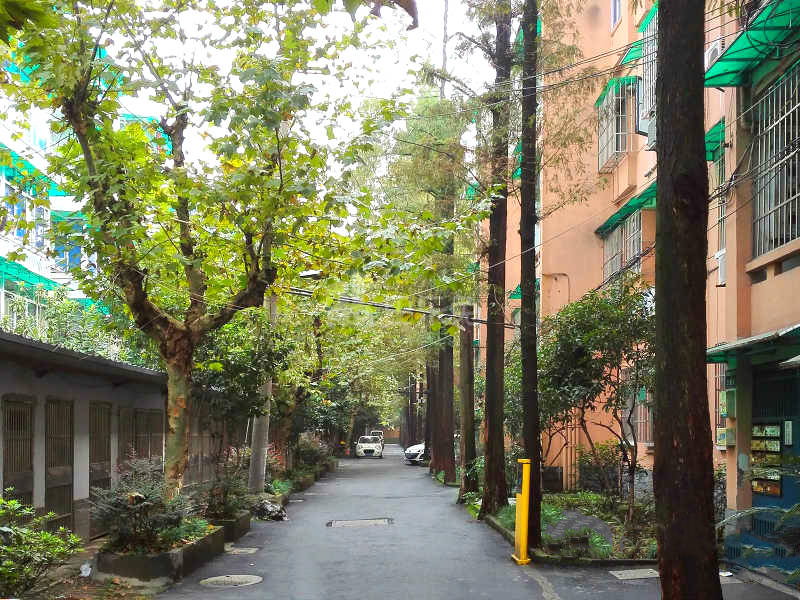 马塍路13号小区18463253周边环境图6