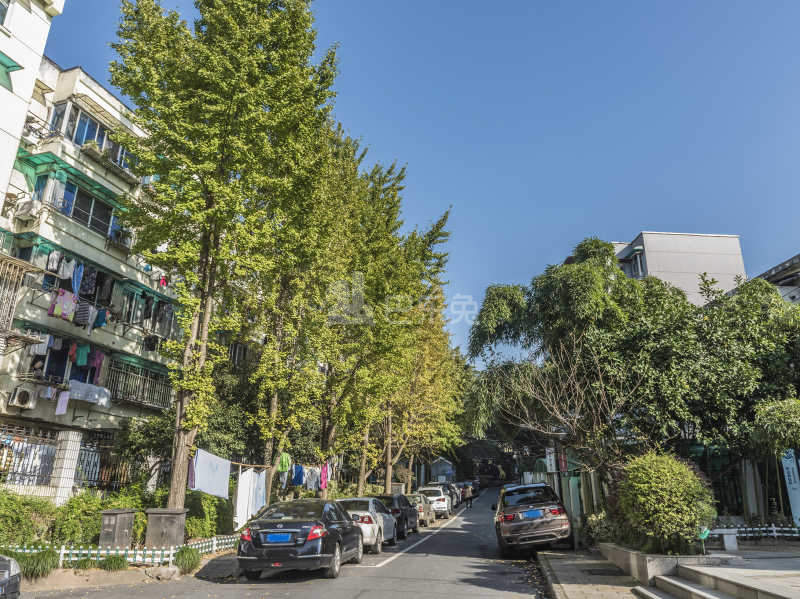 里东山弄（东山弄社区北区）15586608周边环境图1