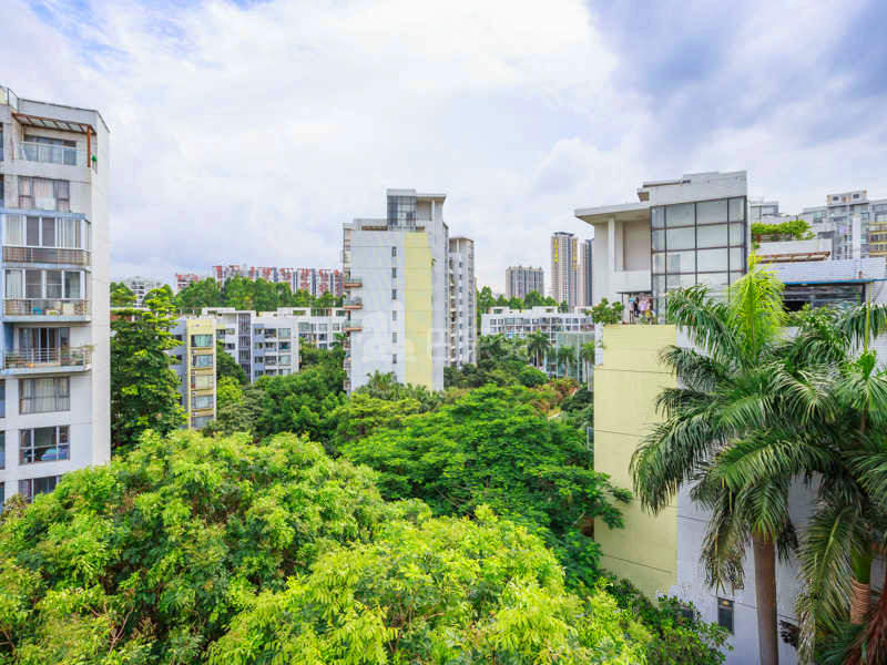 中海康城花园10021258周边环境图22