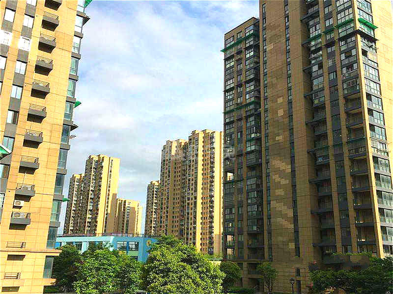 金星桃源居18204823周边环境图1