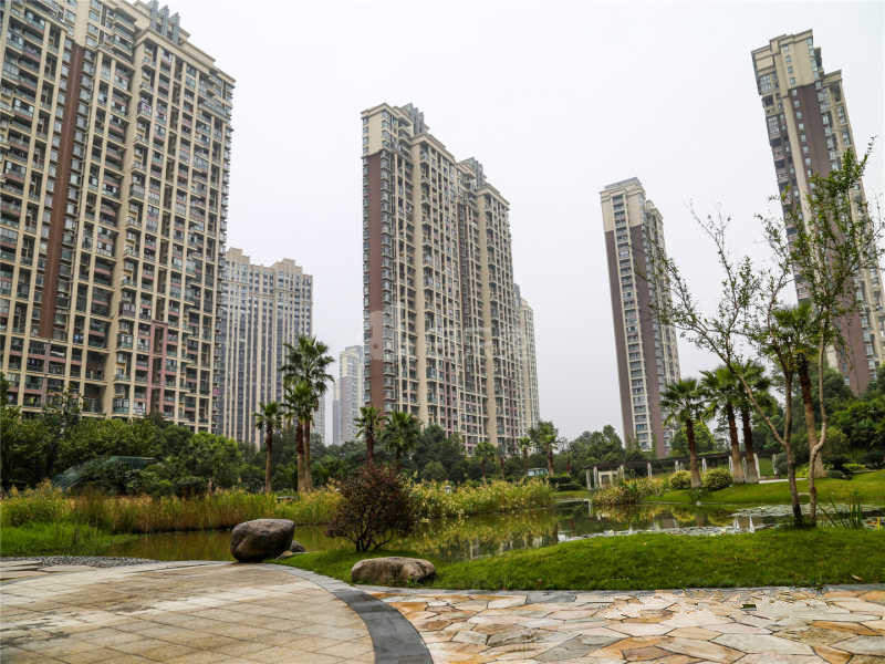 世茂江滨花园瑞景湾18397299周边环境图14