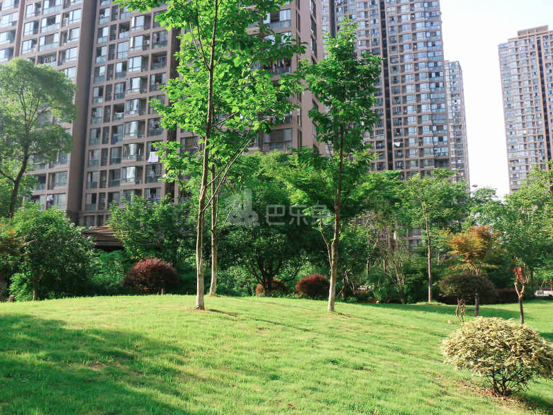 和谐嘉园东苑18416147周边环境图9