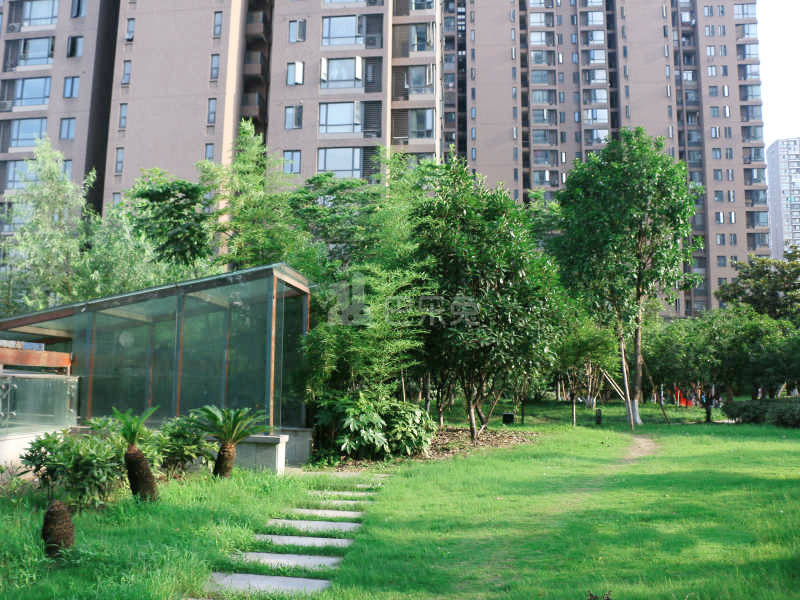 和谐嘉园东苑18416147周边环境图13