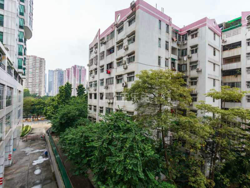 金田花苑（金适翠居）15457278周边环境图11