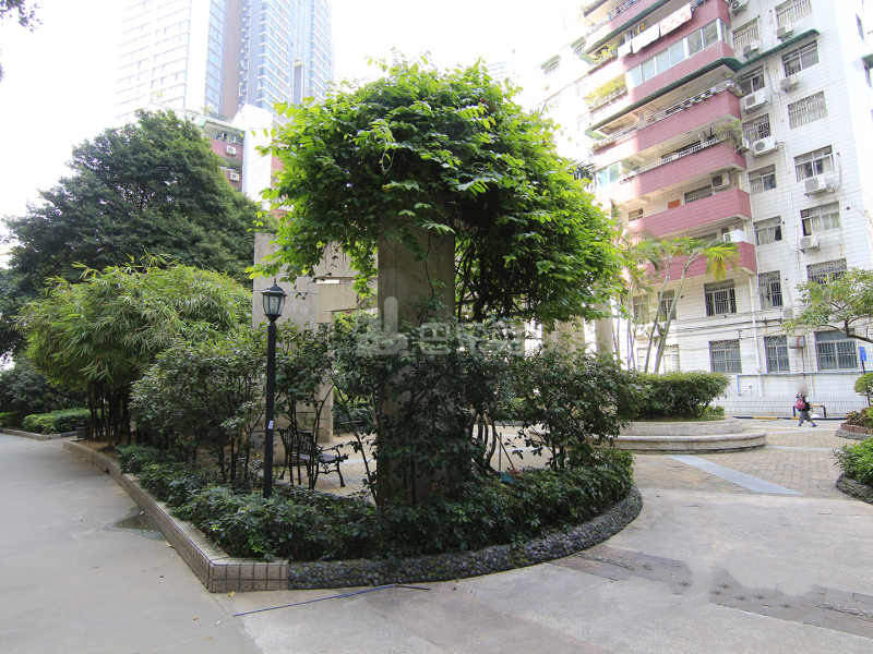 金羊花园13670537周边环境图10