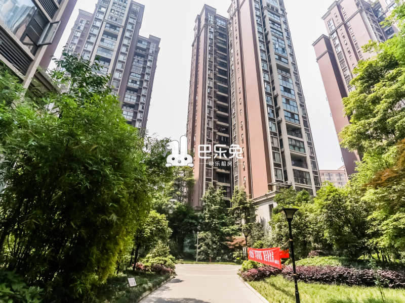 成都高新_神仙树馨苑_1室0厅0卫_合租朝西南_新乐路410号-成都巴乐兔