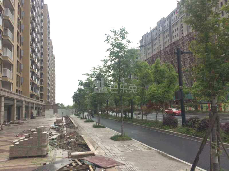 滨江德信东方星城18363951周边环境图9