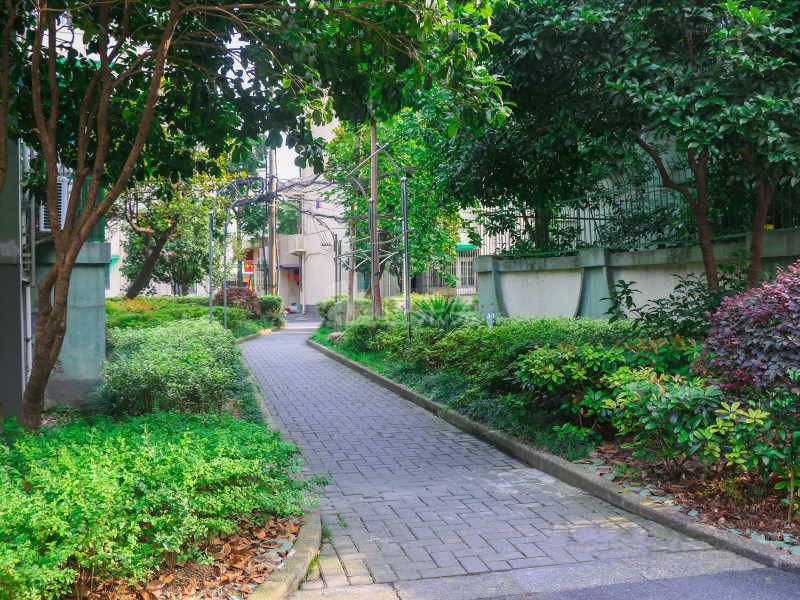 采荷绿萍18396654周边环境图9