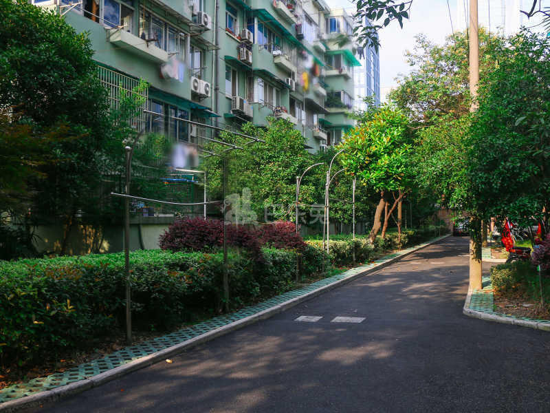 采荷绿萍18396654周边环境图11