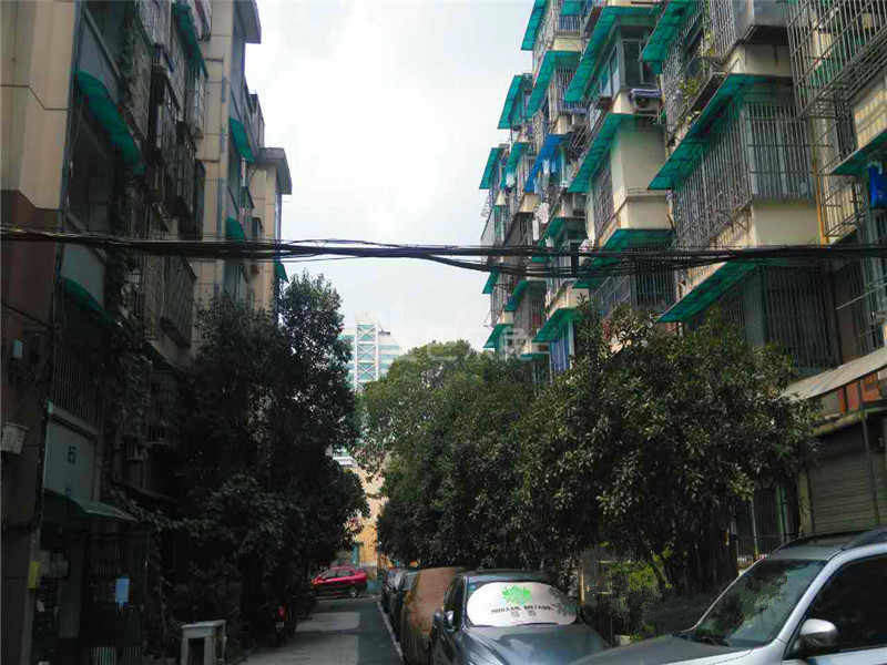 大塘新村15586674周边环境图7