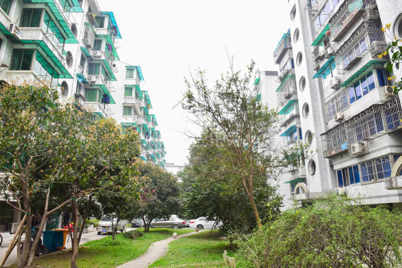 中兴公寓18715757周边环境图17