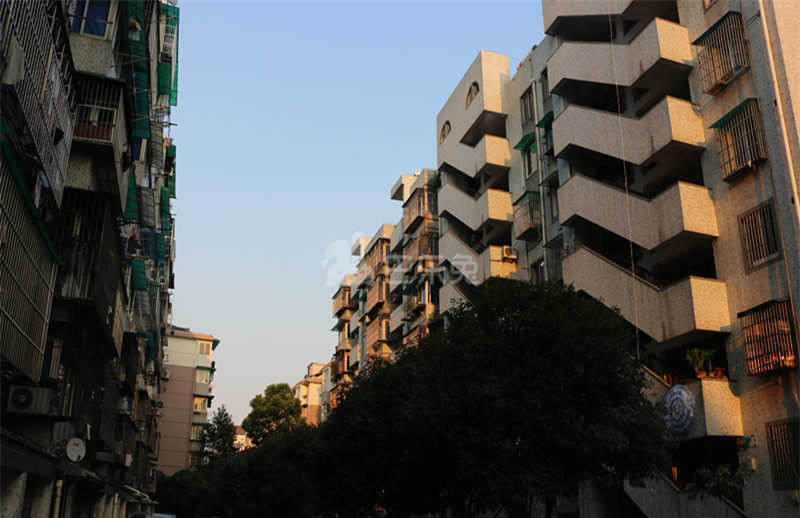 中兴公寓18715757周边环境图16