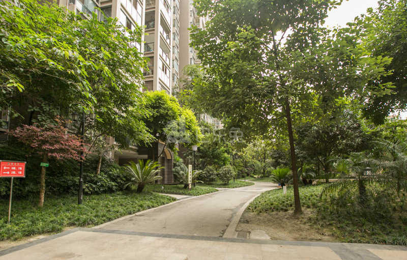 成都高新_楠香山_1室0厅0卫_合租朝东_中胜路66号-成都巴乐兔租房