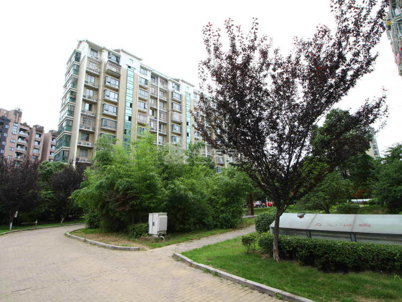 北苑之星12473344周边环境图16