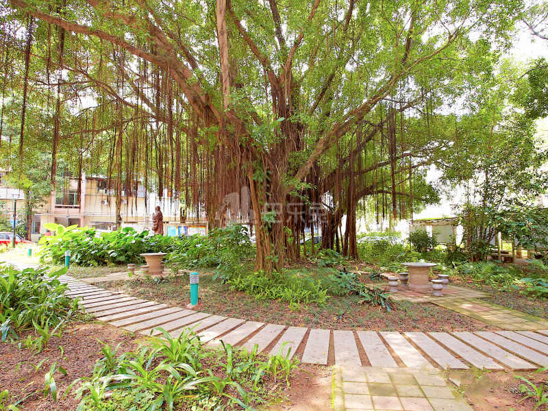 花果山社区13832707周边环境图11