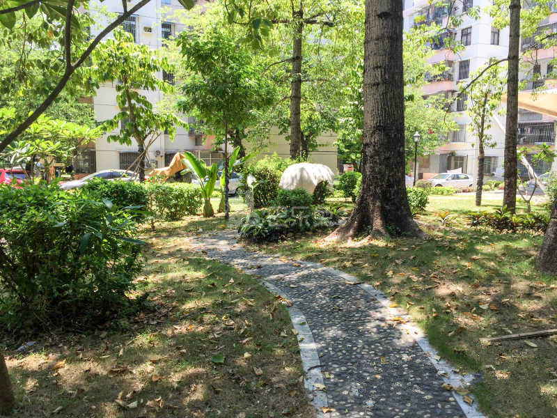 花果山社区13832707周边环境图16