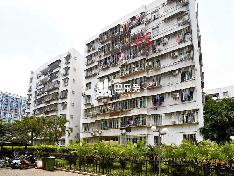 深圳南山_广物花园_3室1厅1卫_合租朝南_后海大道94号-深圳巴乐兔租房