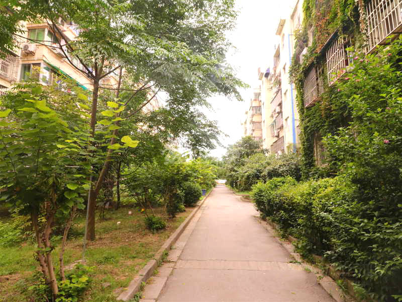 四方新村七村13123755周边环境图4