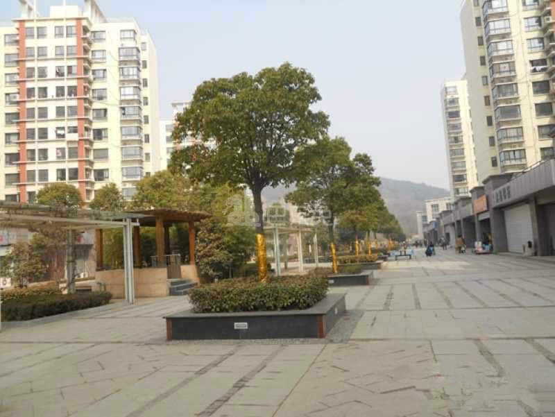 阳光聚宝山庄11473121周边环境图2