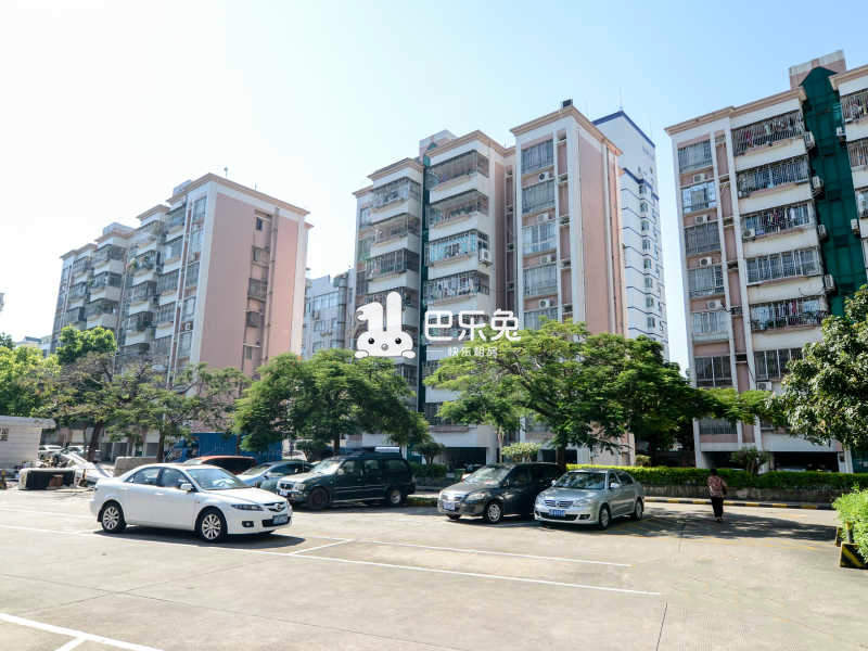 深圳南山_桂园小区_1室0厅0卫_合租朝南_爱榕路与工业九路交汇处-深圳