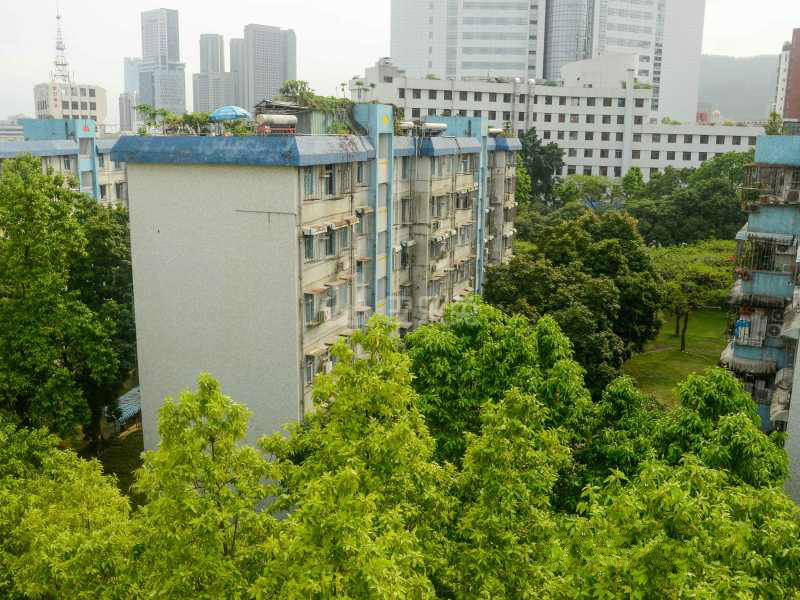 深圳南山_翠竹园(荔园路)_4室2厅2卫_整租_荔园路25号-深圳巴乐兔租房