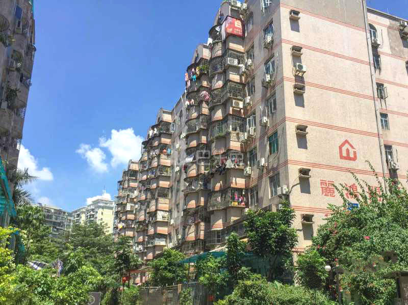 丽湖花园龙岗区