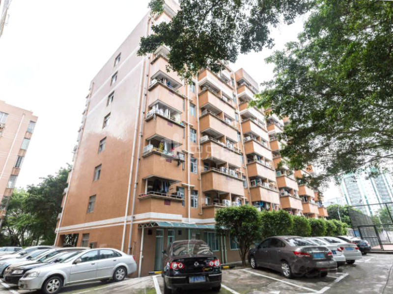 深圳市供电局水贝大院