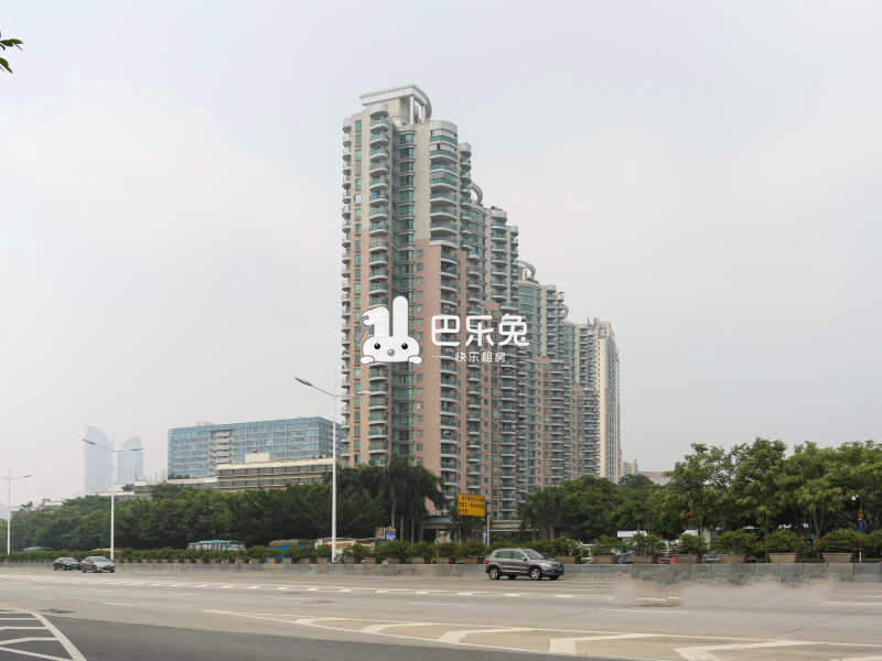 深圳福田_天安高尔夫珑园(天安高尔夫花园三期)_4室2厅1卫_整租_滨河