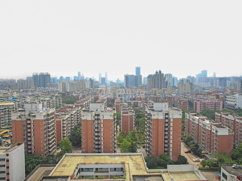 前海花园三期15346479周边环境图13