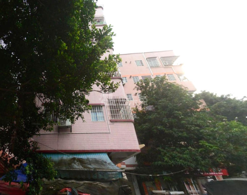 黄村东明里八巷3号4229020周边环境图13