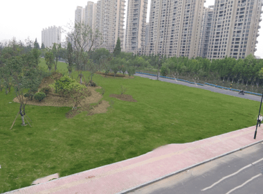 滨江江南之星 1室0厅0卫