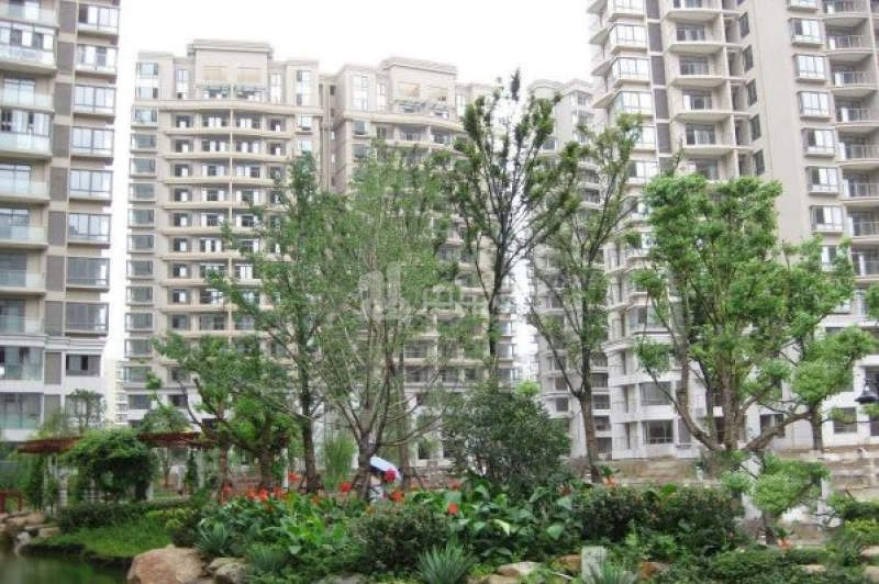 万陈花苑17187026周边环境图1