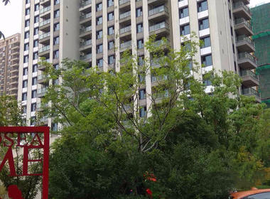 朗诗熙华府 2室0厅0卫