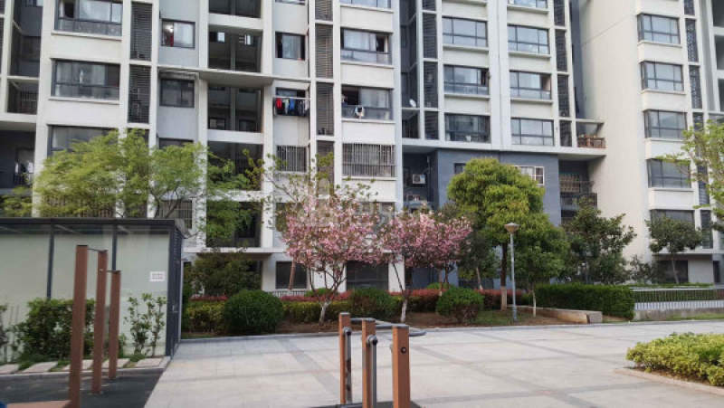 星韵花园西组团15682595周边环境图0