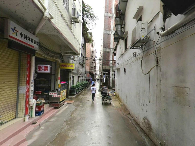 花苑小区10286791周边环境图6