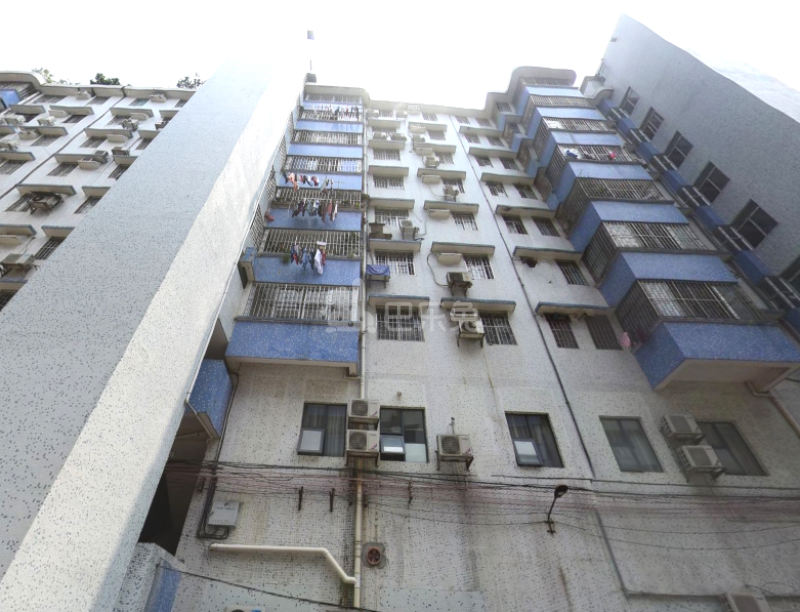 棠东远洋宿舍9204572周边环境图1