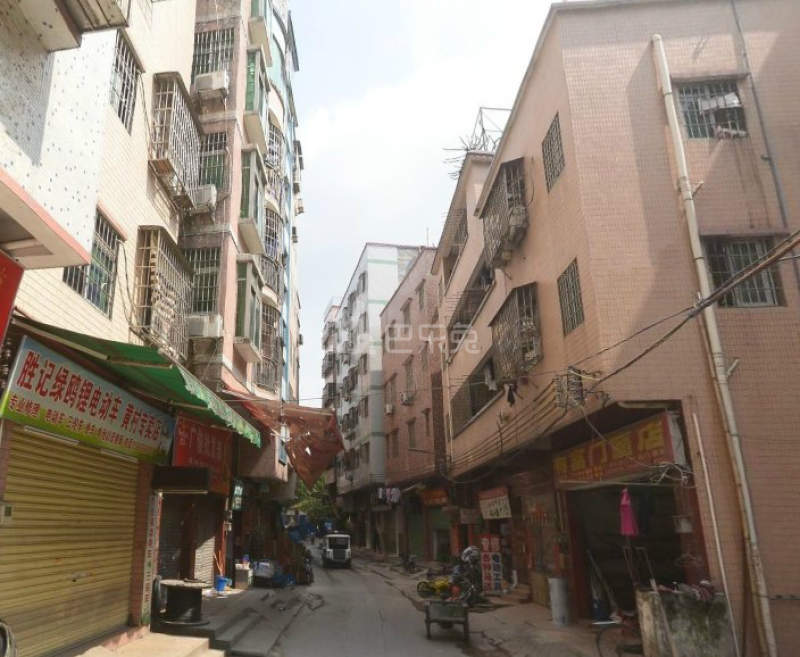 悦橄榄公寓（黄村围福里马路边7号B栋）4766473周边环境图10